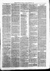 Exmouth Journal Saturday 19 February 1881 Page 3
