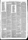 Exmouth Journal Saturday 09 April 1881 Page 7
