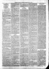 Exmouth Journal Saturday 14 May 1881 Page 3