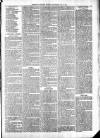 Exmouth Journal Saturday 21 May 1881 Page 7