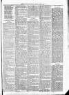 Exmouth Journal Saturday 04 June 1881 Page 7
