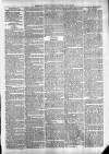 Exmouth Journal Saturday 16 July 1881 Page 3