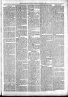 Exmouth Journal Saturday 31 December 1881 Page 3