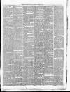 Exmouth Journal Saturday 25 March 1882 Page 3