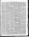 Exmouth Journal Saturday 14 October 1882 Page 7