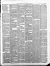 Exmouth Journal Saturday 20 January 1883 Page 3