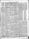 Exmouth Journal Saturday 19 January 1884 Page 3