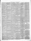 Exmouth Journal Saturday 06 June 1885 Page 3