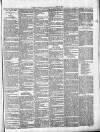 Exmouth Journal Saturday 24 April 1886 Page 3
