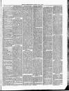 Exmouth Journal Saturday 15 June 1889 Page 3
