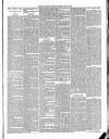 Exmouth Journal Saturday 22 June 1889 Page 3
