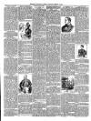 Exmouth Journal Saturday 18 March 1893 Page 2