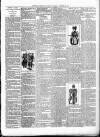 Exmouth Journal Saturday 13 January 1894 Page 3