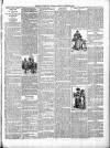 Exmouth Journal Saturday 25 August 1894 Page 3