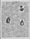 Exmouth Journal Saturday 13 October 1894 Page 3