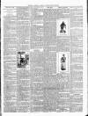 Exmouth Journal Saturday 30 March 1895 Page 3