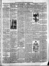 Exmouth Journal Saturday 01 February 1896 Page 3