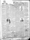 Exmouth Journal Saturday 09 January 1897 Page 3
