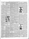 Exmouth Journal Saturday 05 February 1898 Page 3