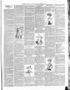 Exmouth Journal Saturday 31 March 1900 Page 3