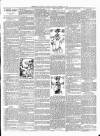 Exmouth Journal Saturday 31 August 1901 Page 3