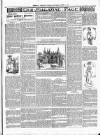 Exmouth Journal Saturday 02 August 1902 Page 3