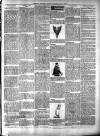 Exmouth Journal Saturday 07 May 1904 Page 6