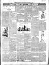 Exmouth Journal Saturday 03 September 1904 Page 7