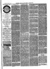 Bexley Heath and Bexley Observer Saturday 01 March 1879 Page 3