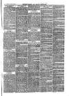 Bexley Heath and Bexley Observer Saturday 15 March 1879 Page 7