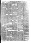 Bexley Heath and Bexley Observer Saturday 12 July 1879 Page 7