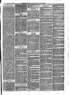 Bexley Heath and Bexley Observer Saturday 26 July 1879 Page 7