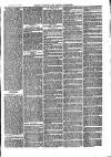 Bexley Heath and Bexley Observer Saturday 04 October 1879 Page 7