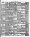 Bexley Heath and Bexley Observer Friday 11 January 1895 Page 3
