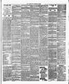 Bexley Heath and Bexley Observer Friday 18 January 1895 Page 3