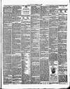 Bexley Heath and Bexley Observer Friday 08 February 1895 Page 3