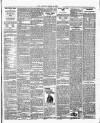 Bexley Heath and Bexley Observer Friday 08 March 1895 Page 3