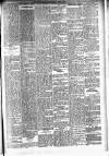 Mid-Ulster Mail Saturday 02 April 1910 Page 5