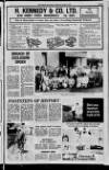 Mid-Ulster Mail Thursday 17 June 1982 Page 11