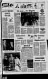 Mid-Ulster Mail Thursday 02 September 1982 Page 33