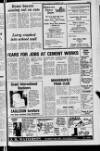 Mid-Ulster Mail Thursday 02 December 1982 Page 13