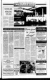 Mid-Ulster Mail Thursday 27 September 1990 Page 19