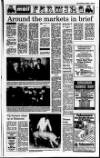 Mid-Ulster Mail Thursday 04 March 1993 Page 29
