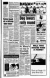 Mid-Ulster Mail Thursday 29 April 1993 Page 11