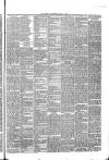 Brechin Advertiser Tuesday 11 March 1879 Page 3
