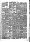 Brechin Advertiser Tuesday 01 April 1879 Page 3