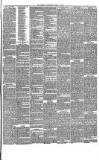 Brechin Advertiser Tuesday 15 April 1879 Page 3