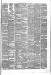 Brechin Advertiser Tuesday 13 May 1879 Page 3