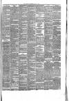Brechin Advertiser Tuesday 08 July 1879 Page 3