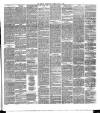 Brechin Advertiser Tuesday 12 May 1891 Page 3